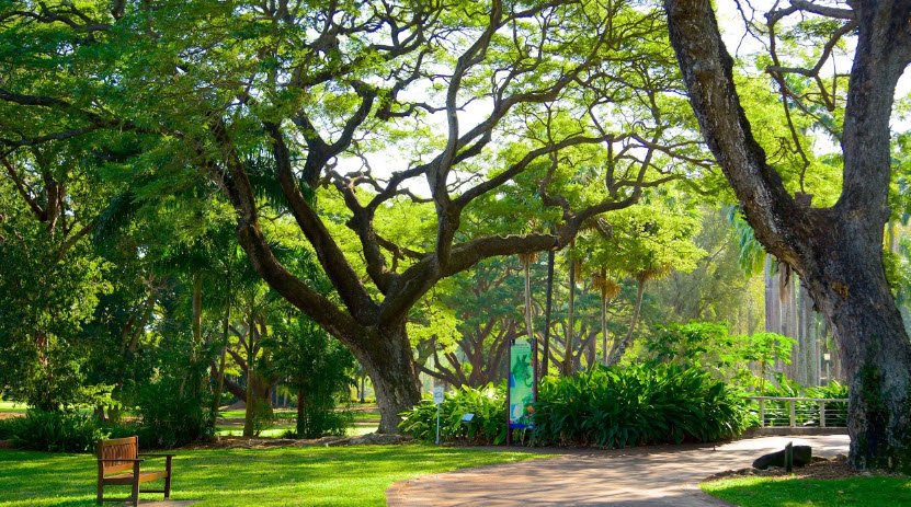  George Brown Darwin Botanic Gardens , Australia